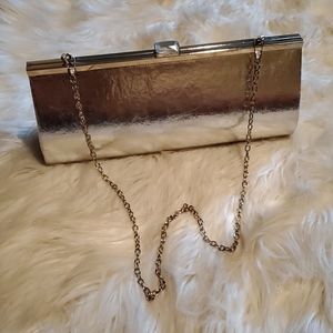 Silver Clutch Purse
